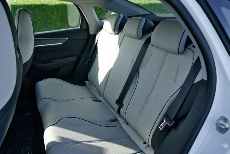 BYD Destroyer 05 2025 White - photo 3