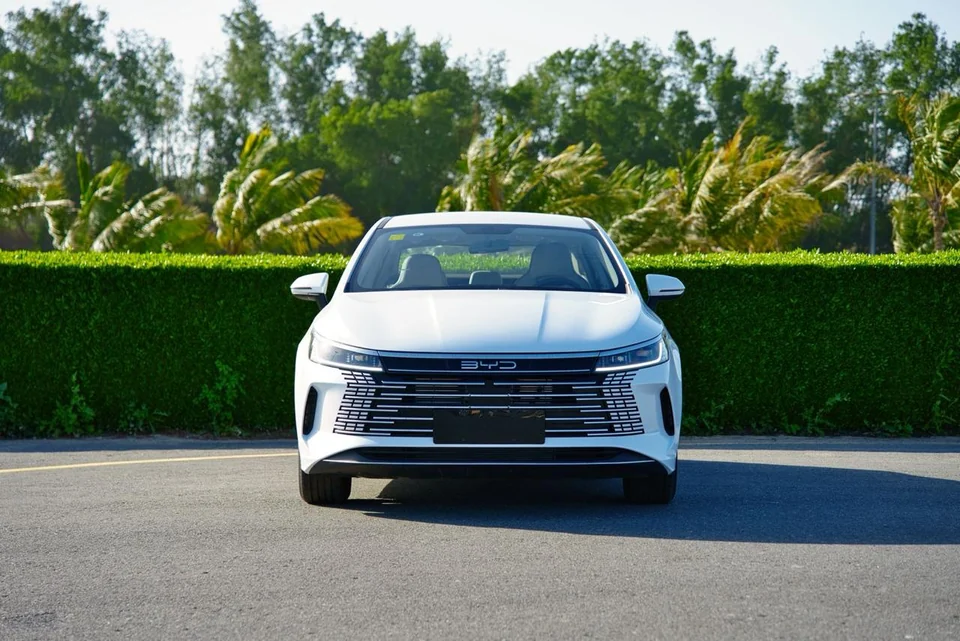 BYD Destroyer 05 2025 White - photo 5