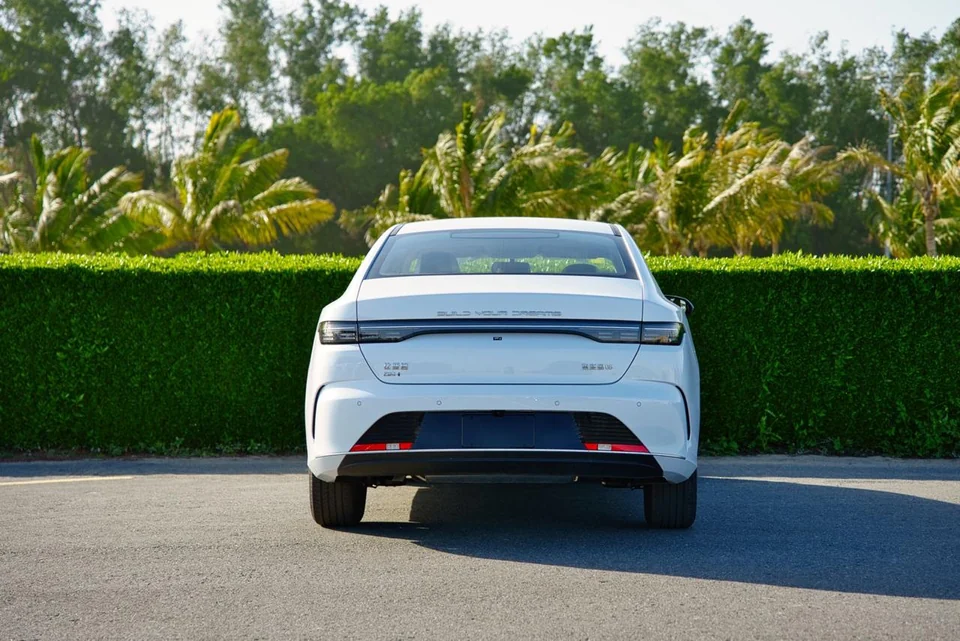 BYD Destroyer 05 2025 White - photo 6