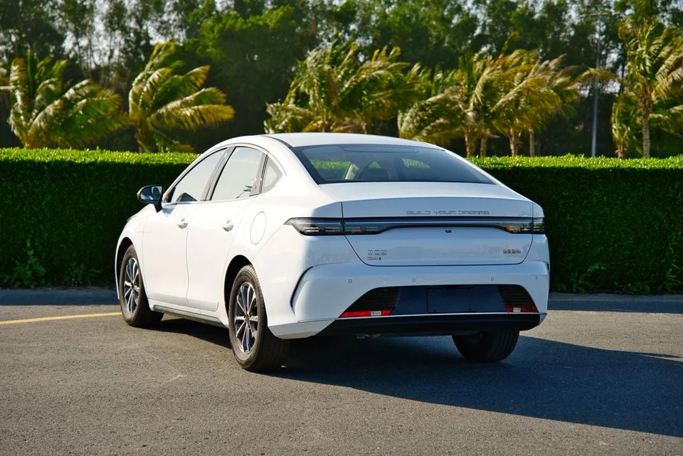BYD Destroyer 05 2025 White - photo 8