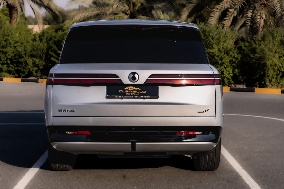 دينزا N9 2025 فضي - صورة 3