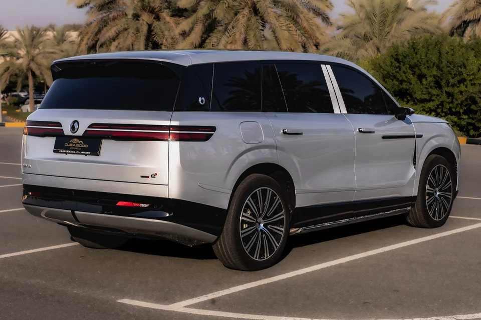 دينزا N9 2025 فضي - صورة 4