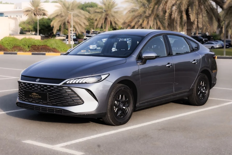 بي واي دي كين بلس 2025 بطارية كبيرة – رمادي / موكا – العدادات الرقمية